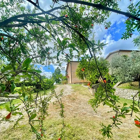Spoleto Tranquilita Yoga - A Sanctuary Of Dreams And Peace Villa Morro