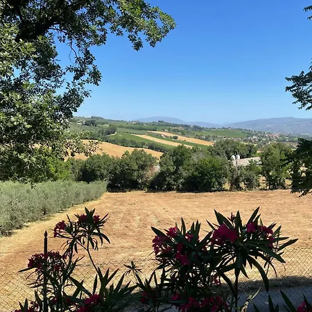Villa Spoleto Tranquilita Yoga - A Sanctuary Of Dreams And Peace Morro