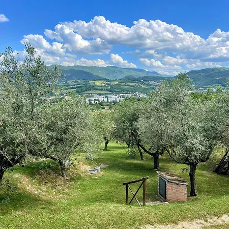 Spoleto Tranquilita Yoga - A Sanctuary Of Dreams And Peace