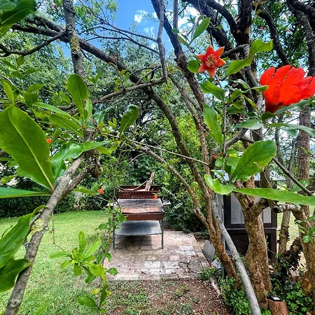 Spoleto Tranquilita Yoga - A Sanctuary Of Dreams And Peace Villa