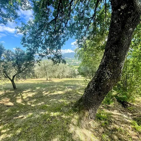 Villa Spoleto Tranquilita Yoga - A Sanctuary Of Dreams And Peace