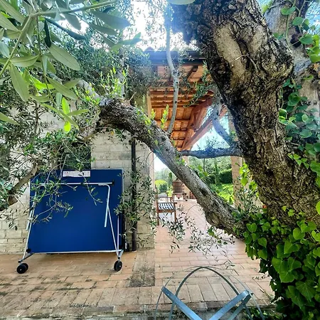 Spoleto Tranquilita Yoga - A Sanctuary Of Dreams And Peace Villa