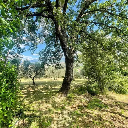 Spoleto Tranquilita Yoga - A Sanctuary Of Dreams And Peace *