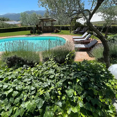 Spoleto Tranquilita Yoga - A Sanctuary Of Dreams And Peace *
